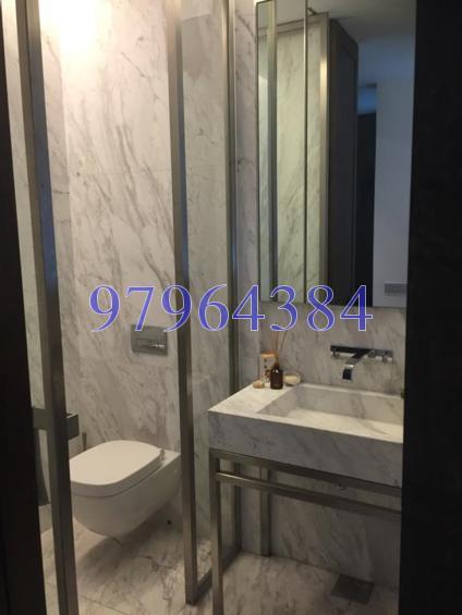 Nassim Park Residences (D10), Condominium #119981502